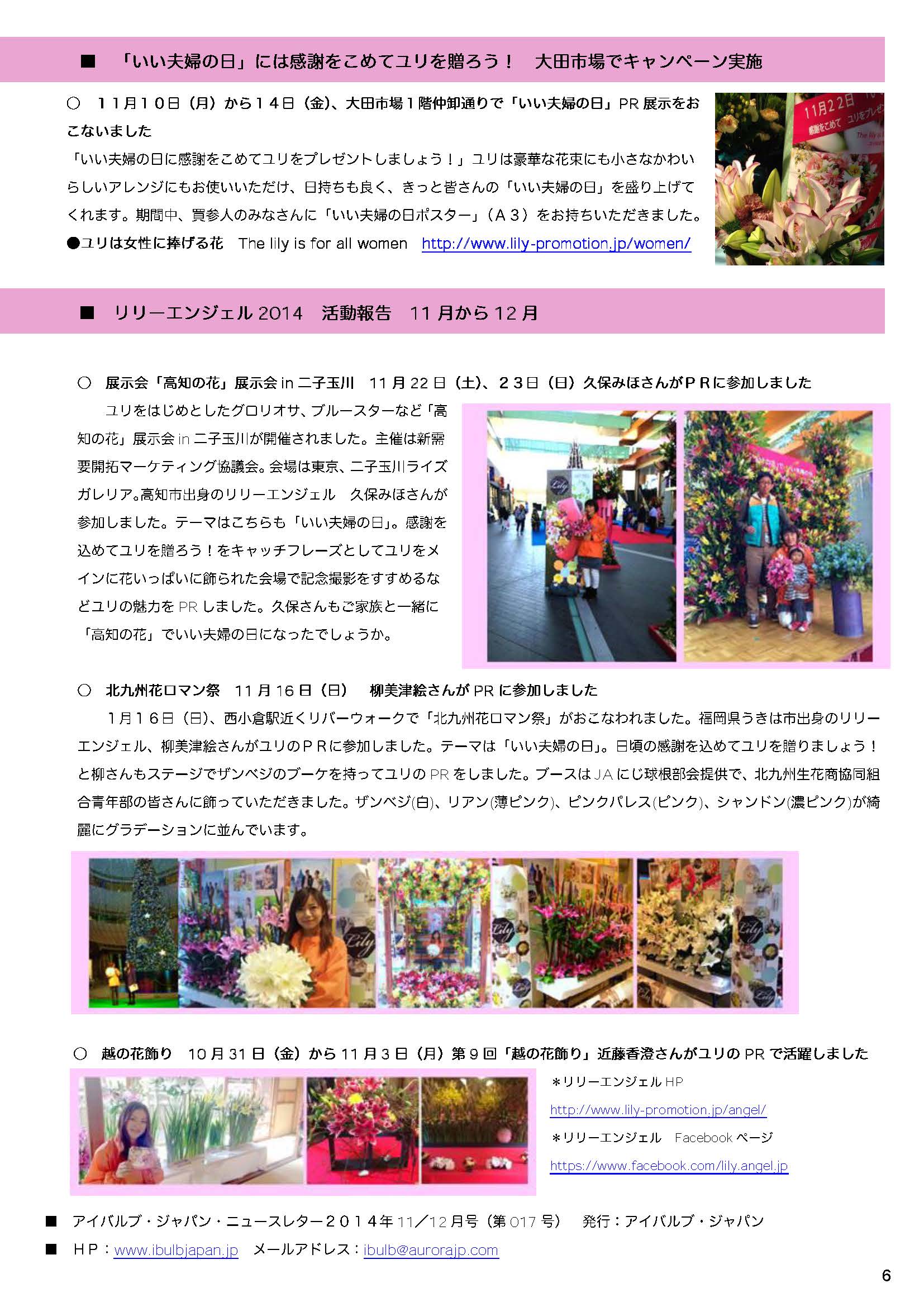 アイバルブ・ジャパン ニュースレター 2014年11/12月号（2014/12/11）